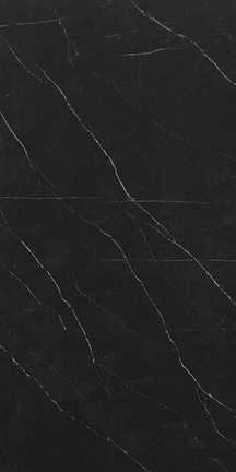 Alustra Regal Black 12" x 24"
