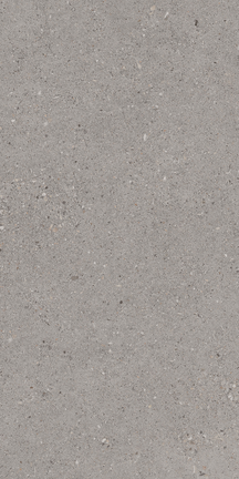 Canal Street French Gray 12" x 24"