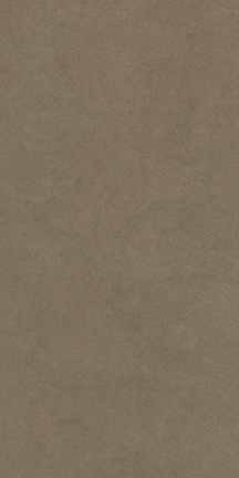 Serendipity Intuition Tobacco 12" x 24"