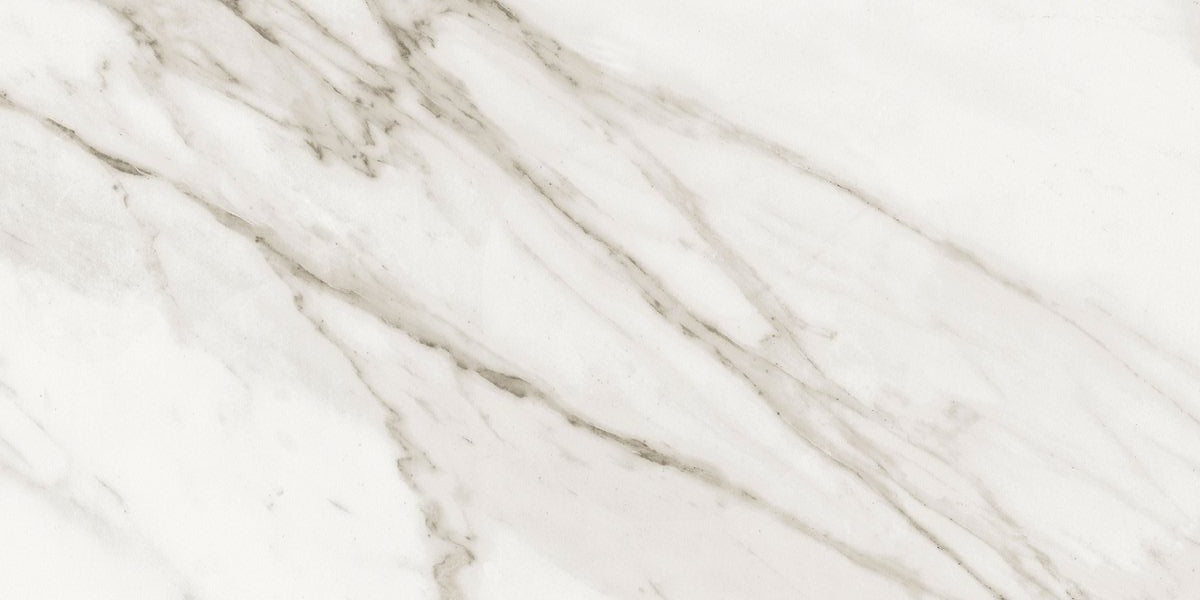 Precious Calacatta 12" x 24"