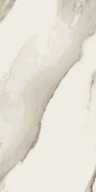 Ainslee Park Calacatta Gold 12" x 24"