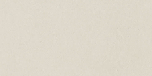 Time 2.0 Snow 12" x 24"