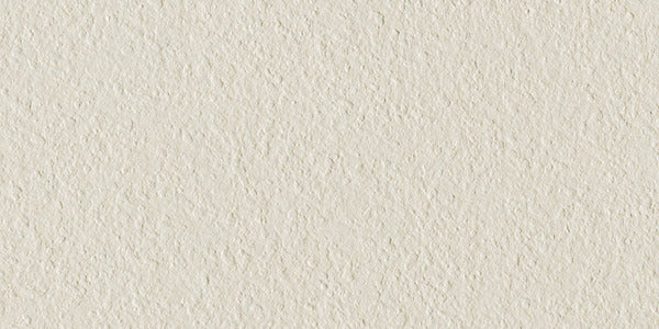 Time 2.0 Snow 12" x 24"