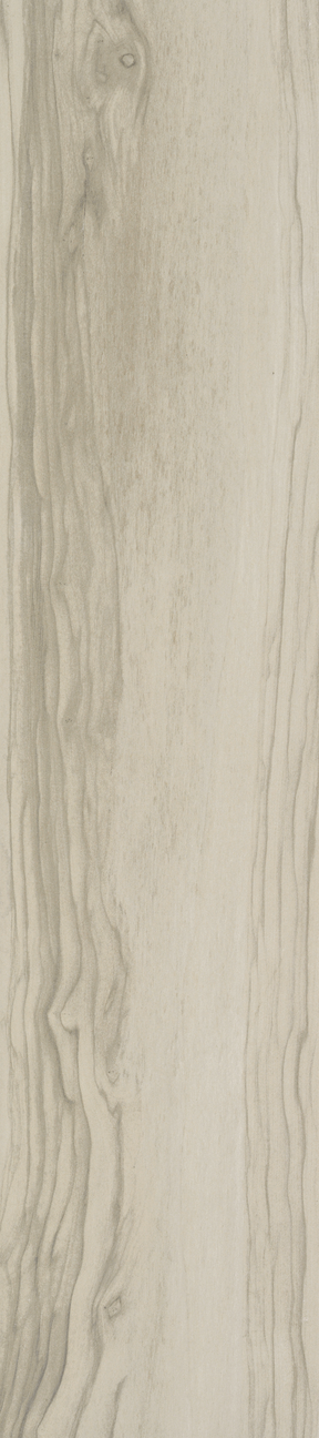 Excursion Zion 8" x 36"