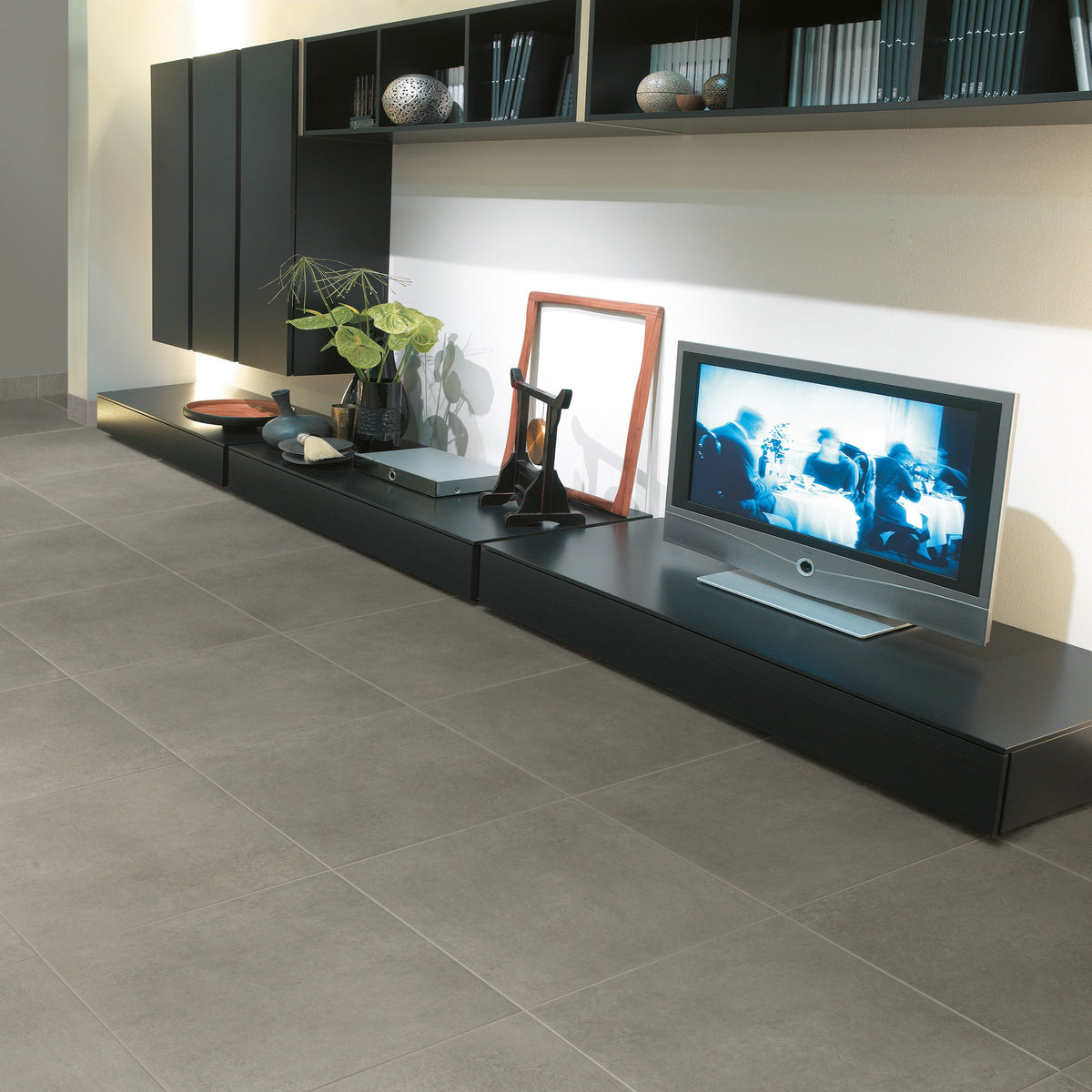 Aventis Titanium 12" x 24"