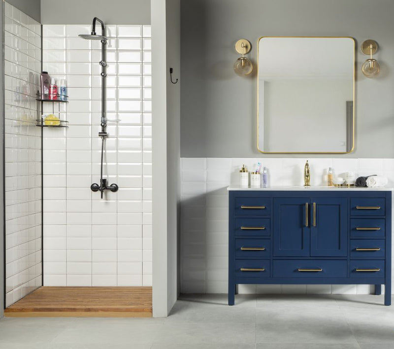 Ashley 48" Blue Bathroom Cabinet