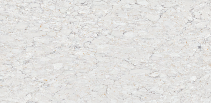 Harmonious Quartz Countertop