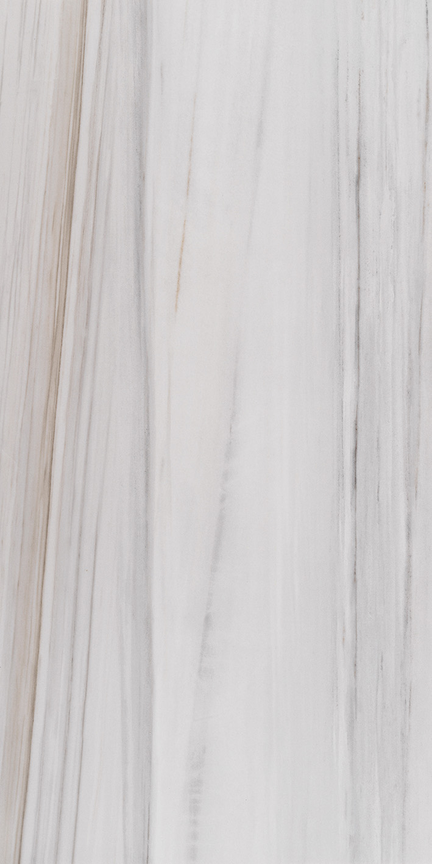 Alustra Majestic White Lasa 24" x 48"