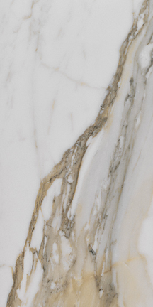 Alustra Imperial Gold Calacatta 12" x 24"