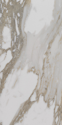Alustra Imperial Gold Calacatta 12" x 24"