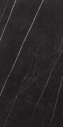 Alustra Regal Black 12" x 24"