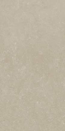 BlueRun Historic Greige 12" x 24"
