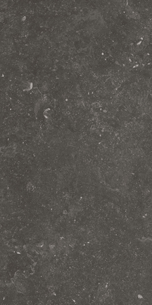 BlueRun Fossil Black 12" x 24"