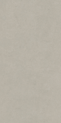 Serendipity Infinite Cool Gray 12" x 24"