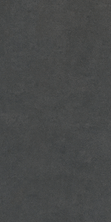 Serendipity Destiny Black 12" x 24"