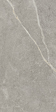 Tempo Ash Cool Gray 12" x 24"