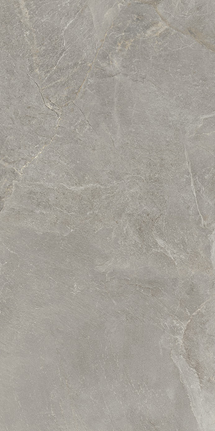 Tempo Ash Cool Gray 24" x 48"