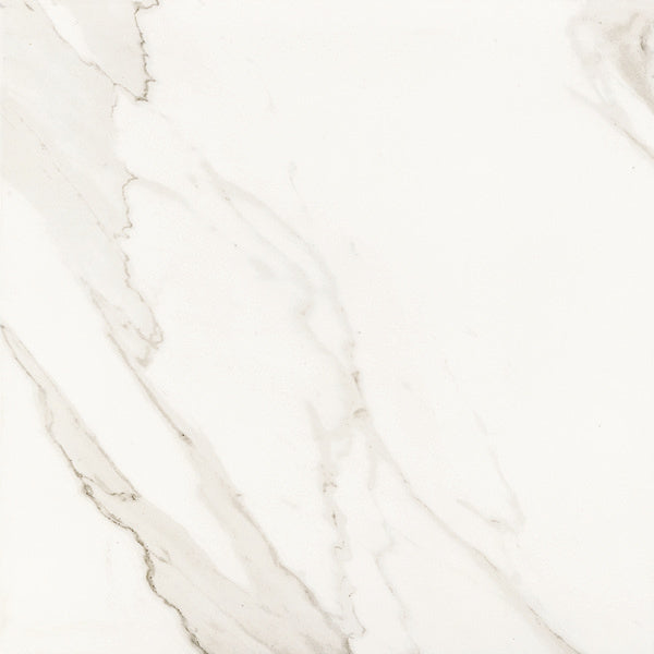 Precious Calacatta 24" x 24"